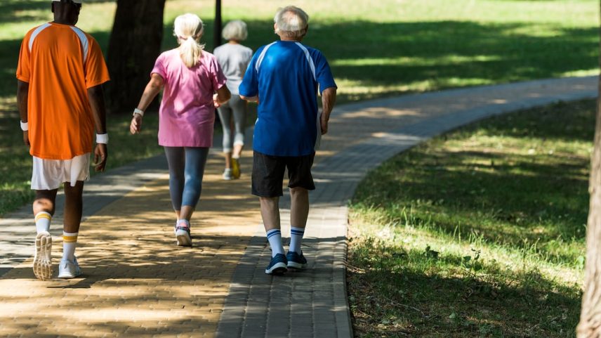 Caminhada é exercício popular, acessível e benéfico (Foto: LIGHTFIELD STUDIOS/Adobe Stock)