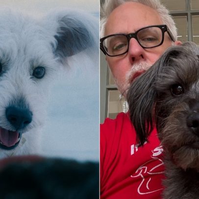 Cachorro real inspira Krypto, o super-doguinho do novo filme do Superman