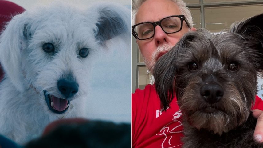 Krypto, super-doguinho visto em 'Superman' (2025), foi inspirado em animal do diretor James Gunn (Foto: Divulgação / Instagram)