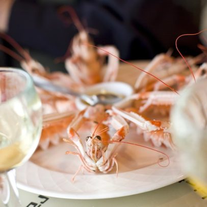 Descubra 30 vinhos ideais para harmonizar com crustáceos deliciosos