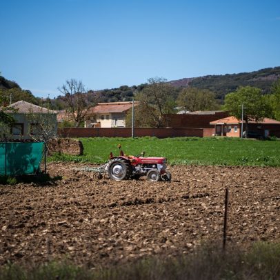 Horticultores de León enfrentam crise com proibição de irrigação em suas lavouras