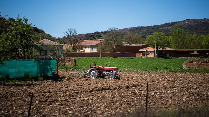Huerta próxima à bacia do Órbigo. (Foto: Emilio Fraile)