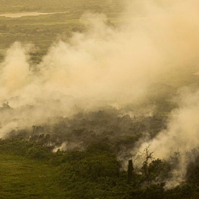 Governo de SP emite alerta sobre alto risco de incêndios nos próximos dias