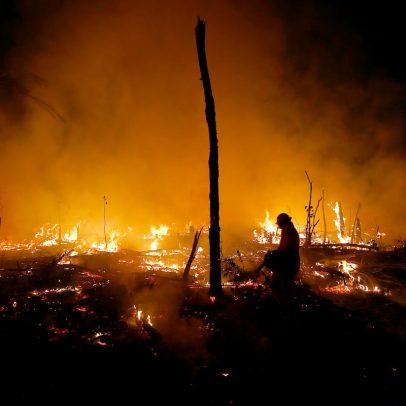 Amazônia enfrenta desafios para proteger seu ecossistema vital