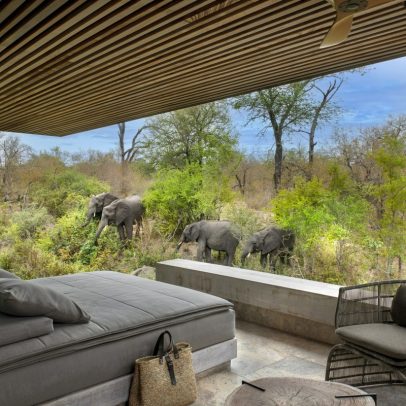 Safári luxuoso na África do Sul oferece diárias de R$ 80 mil e experiências únicas