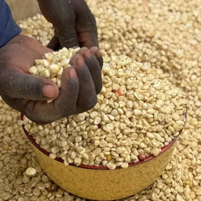 Cortes de ajuda alimentar podem levar nigerianos a se unirem ao Boko Haram, alerta WFP