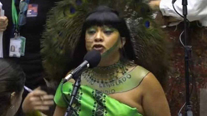 Célia Xakriabá foi chamada de "cosplay" de pavão por causa do cocar que usava (Foto: Reprodução YouTube)