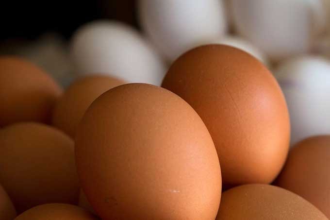 Tarifa de Trump ameaça o agro do Brasil — e encarece produtos nos EUA (Foto: Reprodução)