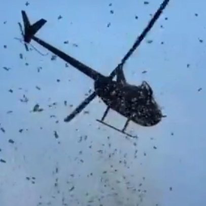 Família rica distribui R$ 27 mil em dinheiro de helicóptero nos Estados Unidos