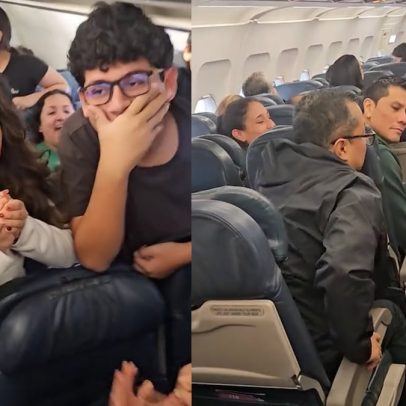 Hámster provoca confusão em voo da Latam no Peru após escapar de sua gaiola