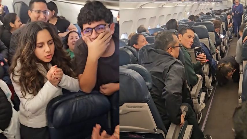 Momentos da busca do hámster no voo da Latam do dia 24 de julho de 2025. (Foto: RR.SS)