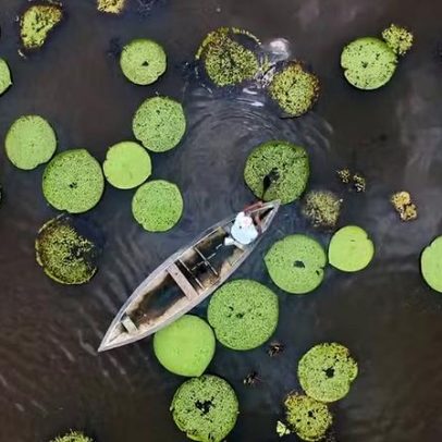 Tecnologia impulsiona inovação e sustentabilidade na economia da Amazônia
