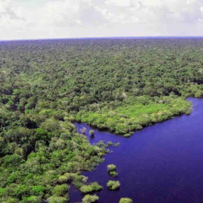 Brics adota posicionamento ousado sobre meio ambiente em nova rodada de negociações