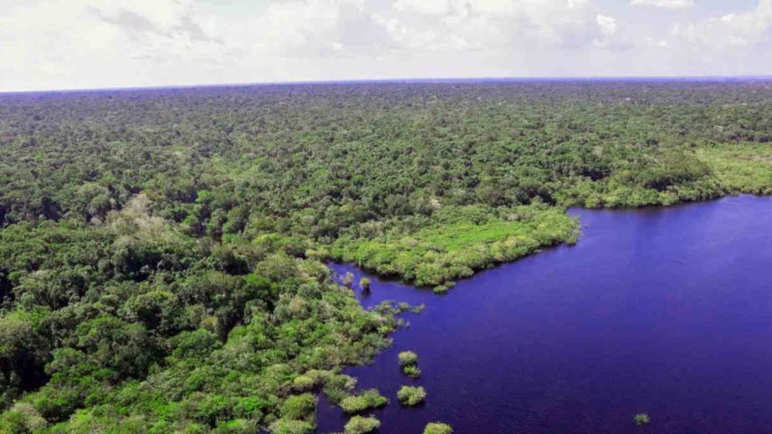 RISCOS Amazônia: uma das florestas tropicais que pode ser beneficiada com novo fundo brasileiro (Foto: Fabio Rodrigues-Pozzebom/Agência Brasil/VEJA.com)