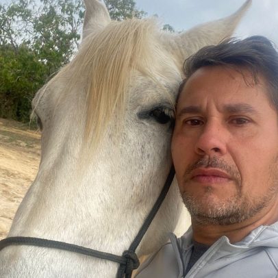 Brasil investiga morte de 222 cavalos após ração suspeita de contaminação