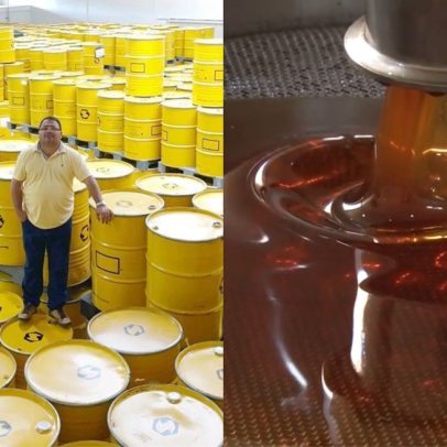 Tarifaço de Trump prejudica produtores de mel no Nordeste brasileiro