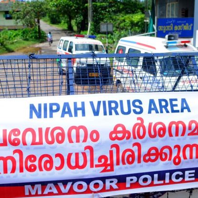 Vacina promissora contra o vírus Nipah também trata infecções relacionadas