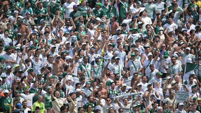 Torcida do Palmeiras comemora gol no duelo com o Botafogo, na Filadélfia (Foto: Juan Mabromata/AFP)
