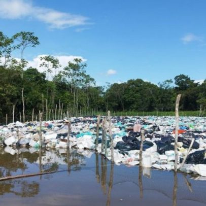 Ilha de lixo na Amazônia expõe falhas na diplomacia ambiental brasileira