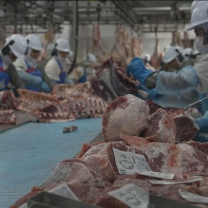 Empresas brasileiras buscam novos mercados diante do aumento de tarifas de Trump