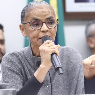 Marina apresenta plano para preservar a legislação ambiental contra demolições