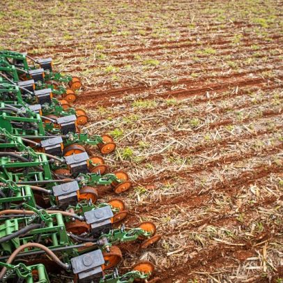 Brasil destaca-se na produção agropecuária com inovações e desafios atuais