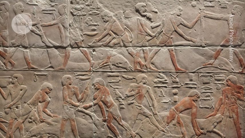 Artefatos duradouros foram produzidos pelo Antigo Egito durante o Império Antigo (2686–2125 a.C.) — mas pouco DNA sobreviveu. (Foto: Azoor Photo/Alamy)