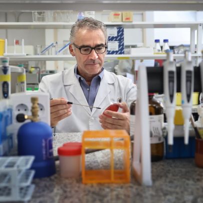 Gen responsável por superbactérias se espalha em hospitais e granjas brasileiras