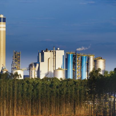 JPMorgan ajusta preço-alvo da Suzano, mas mantém preferência por SUZB3