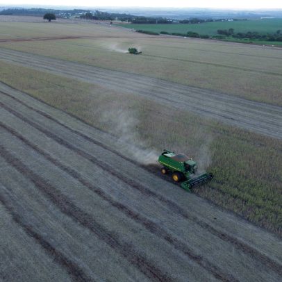 Biodiesel e soja devem contribuir com 6,4% do PIB brasileiro em safra recorde