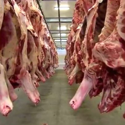 Frigoríficos de MS interrompem produção de carne para exportação aos EUA