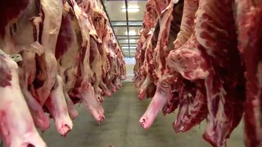 MAPA suspendeu a autorização do frigorífico da JBS em Campo Grande para exportar para os EUA (Foto: Reprodução/TV Morena)