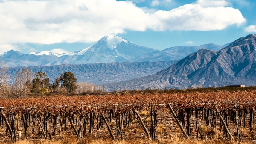 FIM DO MUNDO - Vinícola na Patagônia: a produção da bebida é um dos novos atrativos no sul do país (Foto: Ksenia Ragozina/Shutterstock)