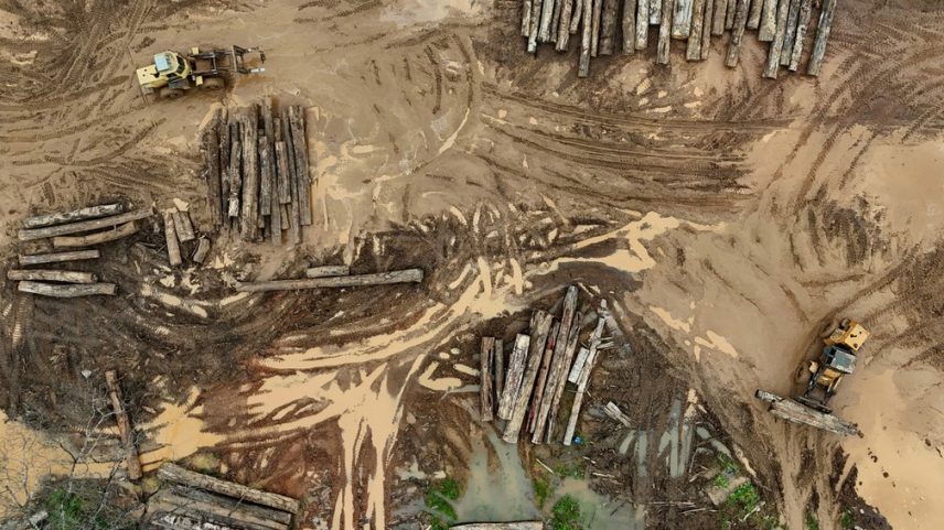 Troncos de árvores são vistos durante operação de combate ao desmatamento por agentes do Ibama em Porto Velho, Rondônia. (Foto: REUTERS/Ueslei Marcelino)