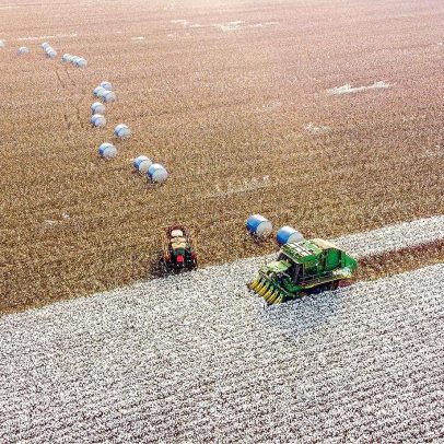 Conflito no Irã afeta perspectivas do agronegócio brasileiro, aponta especialista