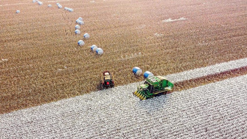 Fertilizantes mais caros: alta nos preços é resultado do conflito no Irã e pode ser amenizada com os derivativos agrícolas (Foto: Scheffer/Divulgação)