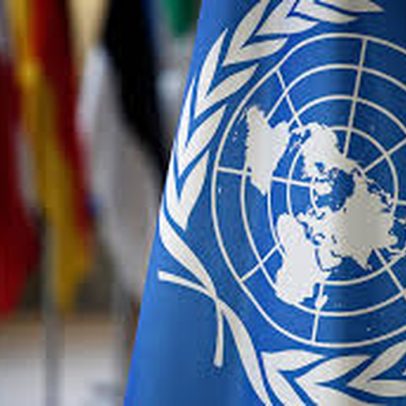 ONU solicita que Brasil reconsidere PL do Licenciamento antes da sanção de Lula