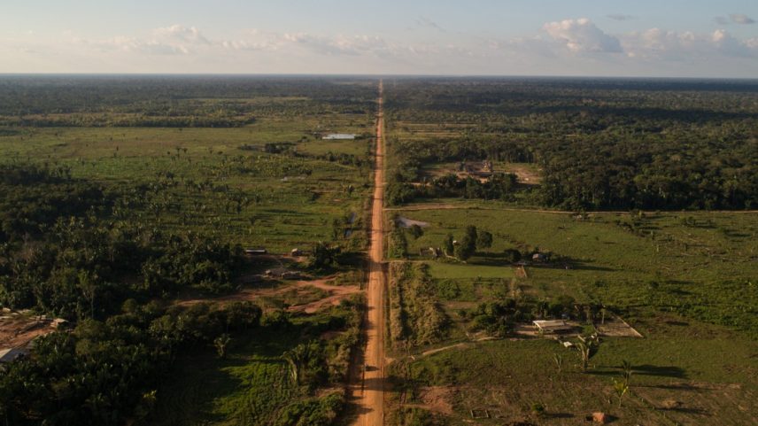 Estrada BR-319, no Amazonas. (Foto: Brenno Carvalho / Agência O Globo)