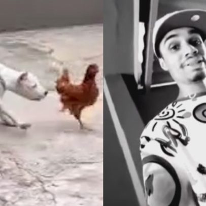 Influenciador é indiciado por alimentar cães com galinhas vivas em vídeo polêmico
