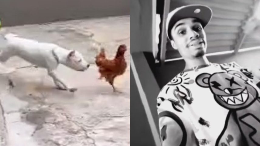 Influenciador é preso por maus-tratos após jogar galinhas vivas para cachorros comerem e filmar (Foto: Reprodução/Redes sociais)