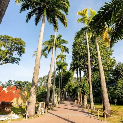 Gripe aviária é confirmada em galinhas-d'Angola no BioParque do Rio; aves morreram