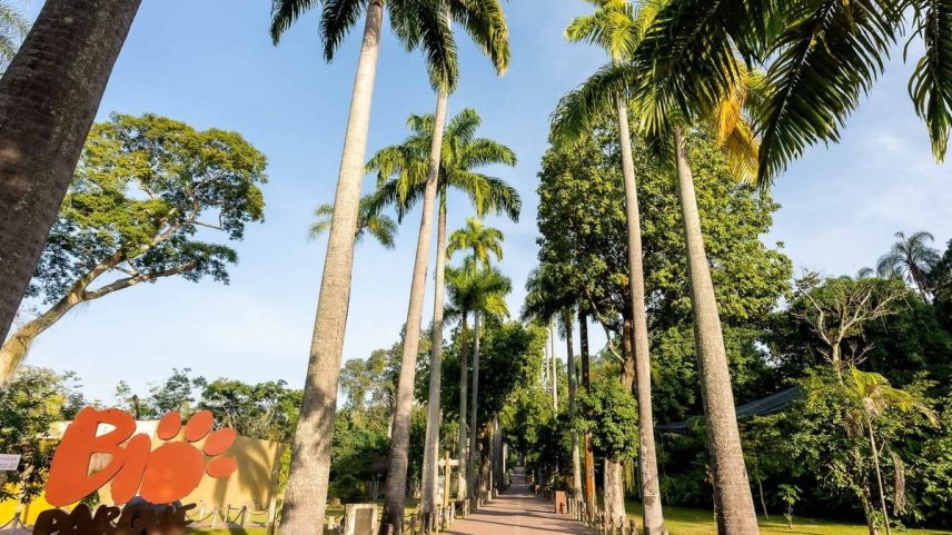 BioParque do Rio (Foto: Divulgação)