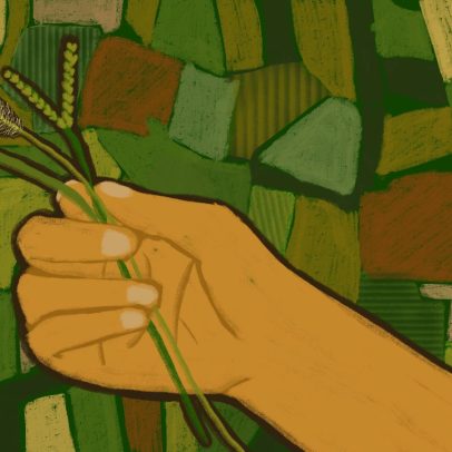 Pampa registra a maior perda de áreas naturais entre os biomas brasileiros em 40 anos