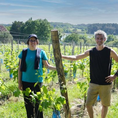 Lycée breton em Auray inova com projeto voltado para a viticultura