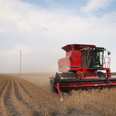 BASF destaca descarbonização do agro como motor para crescimento sustentável
