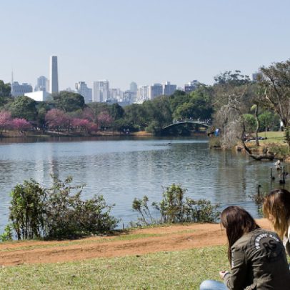 Laboratório da USP detecta primeiros casos de gripe aviária no Ibirapuera