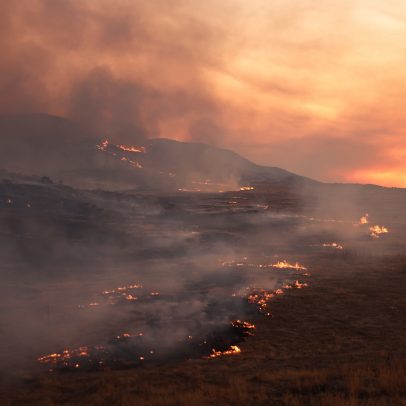 Incêndio florestal atinge mais de 28 mil hectares na Califórnia