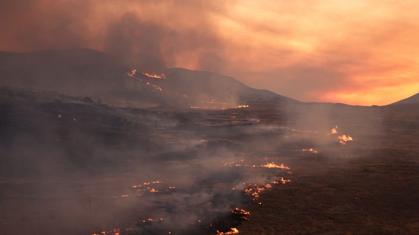 Incêndio Madre queima perto de New Cuyama, na Califórnia (Foto: David Swanson/Reuters)