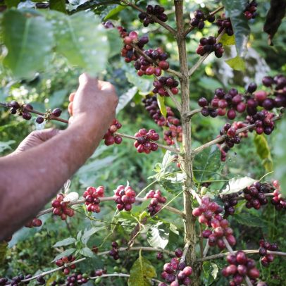 IGP-10 cai 1,65% com redução nos preços em toda a cadeia produtiva