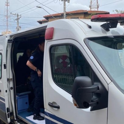 Ambulância para pets é criada em São Paulo para emergências animais